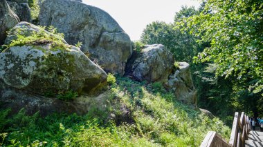 large castle ruins, fortress wall, fortress ruins, pile of large stone blocks, tall buildings, mountain landscape, forest, foreground, outdoors, nature, excursion, travel,greenery, clouds, Middle Ages, mountains, summer, trees, journey, Europe
