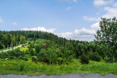 asfalt yol ve dağlara giden yollar, evlerin çatıları, kayak merkezindeki yazlıklar, yamaçlardaki kır çiçekleri, yüksek otlar, uzak dağlar, orman, dinlenme, seyahat, tatil, yürüyüş, Avrupa