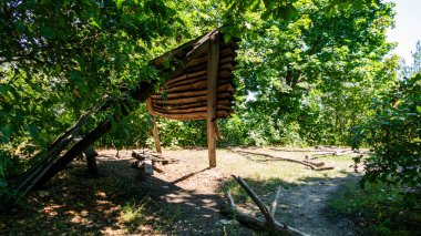 Ormandaki ahşap çardak, gölgelik, yapı, kütükler, dallar, piknik yeri, dışarıda, parkta, ön planda, yeşillik, yaz, seyahat, manzara, kırsal, ağaçlar