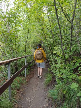 Yaz şapkalı kadın, turist sırt çantasıyla, yeşil ormana gider, çalılıklar, turistler, yaz, ağaçlar, patikalar, geziler, muhteşem manzara, doğa, aktif, manzara, yürüyüş