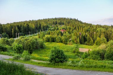 Dağ manzarası, tatil evi, kozalaklı orman, asfalt yollar, dağlarda sabah güneşi, şafak, harika manzara, mavi gökyüzü, doğa, kırsal alan, vadi, tepeler, manzara