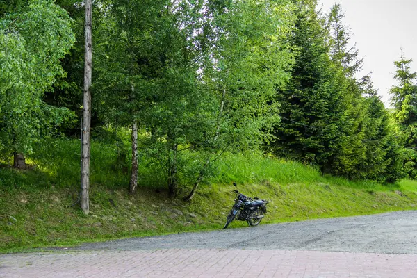 Motosiklet yolun kenarında, kırsalda, dağlarda, kozalaklı ağaçlarda, ıssız, uzun otlar, orman, şafak, motorsiklet, yol, spor, patika, manzara