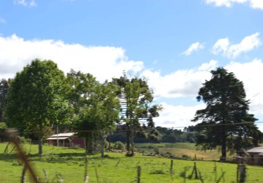 Arka planda öküz ve ev olan kırsal bir yer.