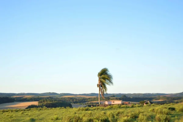 Ufukta hindistan cevizi var. Güzelim Doğa.
