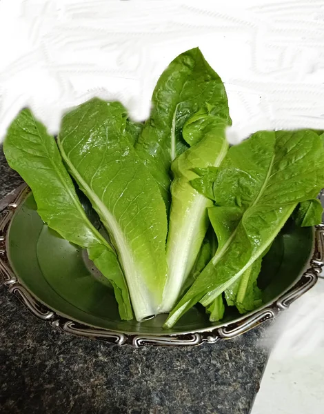 Almeiro ya da acı hindiba, sağlık için önemli özellikleri olan, çeşitli faydaları olan bir sebzedir..