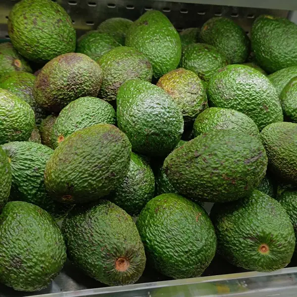 Meyve Yeşili Doğa Persea Americana