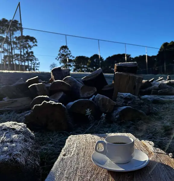 Manzara parkın şafağında