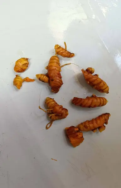 Brezilya şehri manzarası