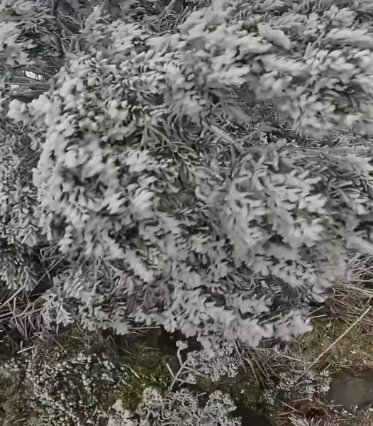 Karlı kış manzarası