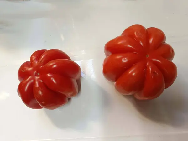 Solanum Lycopersicum. Acı domates.