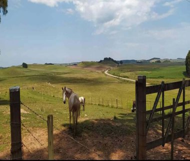 kırsal kesimde otlatma at