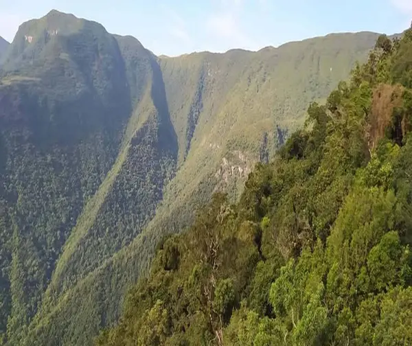 Dağ Serra Rocinha-sc