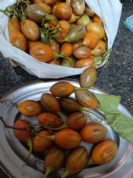 Japon domates diyeti tıbbi