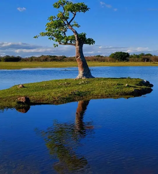 Güzel göl manzarası
