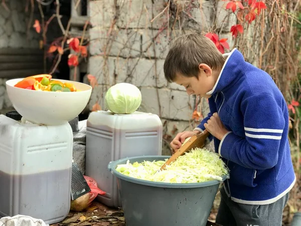 Jedenastolatek Pomaga Jesienią Przygotować Kiszoną Kapustę Zimę Zdjęcie Stockowe