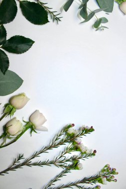 place for text on white background between flowers of rose, eucalyptus and small flower