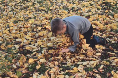 İki çocuk bahçedeki bir ağacın altında sarı sonbahar yapraklarıyla oynuyorlar. 