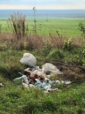 Yol kenarında yeşil çimlerin arasında bir çöp yığını var..