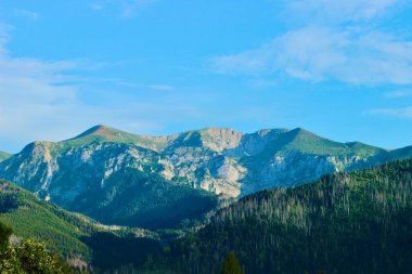 Büyük mavi manzaralı dağları ve yeşil ormanları olan güzel doğa arka planı. Yüksek kalite fotoğraf