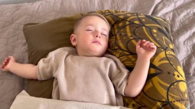 Küçük bir çocuk gün boyunca mışıl mışıl uyuyor, bir Yorkie köpeği yakınlarda yatıyor.