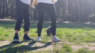 Güneşli ormanda sabah çimlerinde yürüyen iki insan ve bir Yorkie köpeğinin bacakları hafta sonu dinleniyor.