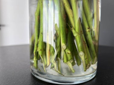 Çiçek uçlarını sudaki cam vazoda kes.