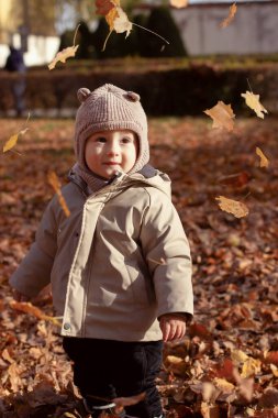 Parktaki bir çocuk kurumuş bir yaprağın üzerinde koşup kusuyor. Bebek sonbaharda sıcacık giyinir..