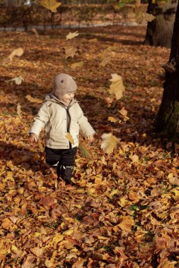 Parktaki bir çocuk kurumuş bir yaprağın üzerinde koşup kusuyor. Bebek sonbaharda sıcacık giyinir..