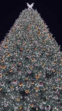 Büyük ve uzun bir Noel ağacı, çelenkler ve Noel süslemeleriyle süslenmiş, geceleri şehir merkezinde parlıyor.