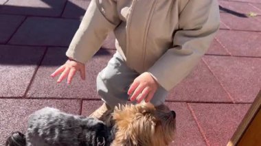 Parkta küçük köpeği olan bir çocuk..