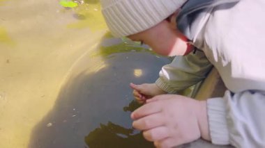 İki yaşındaki küçük bir çocuk çeşmeye su sıçratır ve dokunur. İlkbaharda bir fıskiyenin yanında yürüyüş yapan bir çocuk.