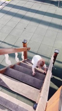 Küçük aktif bir çocuk merdivenleri dört ayak üstünde çıkıyor.