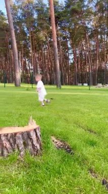 İki yaşında küçük bir çocuk çam ormanının yakınındaki yeşil çimlerin üzerinde yürüyor.