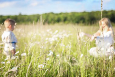 Bir yaz tarlasının bulanık arka planında, bir anne kollarını çocuğuna doğru uzatıyor, bebek kollarıyla annesine gidiyor.
