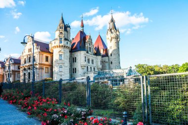 Sonbaharda Polonya 'daki Moszna Şatosu, tarihi mimari ve park.