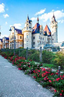 Sonbaharda Polonya 'daki Moszna Şatosu, tarihi mimari ve park.