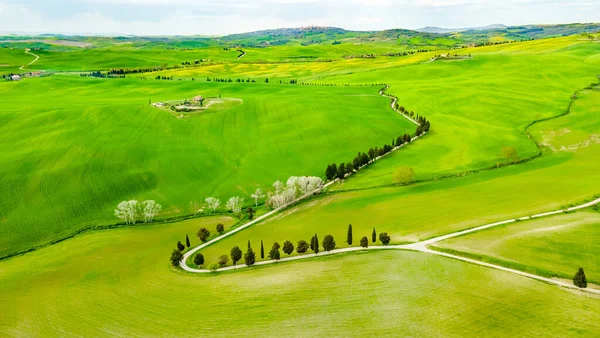 Aerial View Tuscan Road Turning Sharply Going Distance Cypresses Hills — Stock Photo, Image