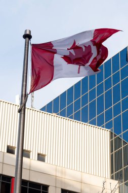 Bayrak direğindeki Kanada bayrağının alt görüntüsü