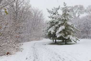 View at the trail in the park at winter time