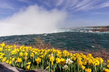 Niagara Falls ve Kanada tarafı çiçek bahar sezonunda görüntülemek