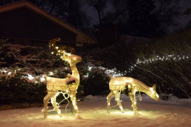 Toronto, Ontario, Kanada - 10 Aralık 2022: Noel için ışıklandırılmış eve bakın