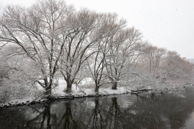 View at the Etobicoke creek in winter, near Toronto, Canada