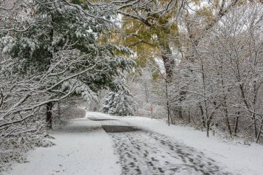 View at the trail in the park at winter time