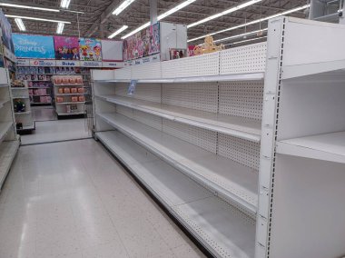 Toronto, On, Kanada - 27 Ocak 2024: Oyuncakçıdaki oyuncaklarla birlikte raflara bakın