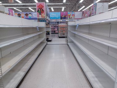 Toronto, On, Kanada - 27 Ocak 2024: Oyuncakçıdaki oyuncaklarla birlikte raflara bakın