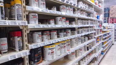 Toronto, On, Kanada - 01 Şubat 2024: Kanada Lastik mağazasındaki ev ile ilgili eşyaların olduğu raflara bakın