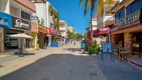 Playa del Carmen, Riviera Maya, Meksika - 15 Kasım 2023: Playa del Carmen 'deki 5.