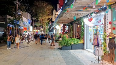 Playa del Carmen, Riviera Maya, Meksika - 15 Kasım 2023: Playa del Carmen 'deki 5.