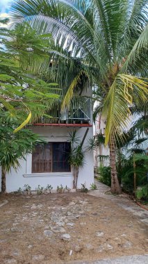 Playa del Carmen, Quintana Roo, Meksika - 20 Kasım 2023 Meksika 'da özel bir evde