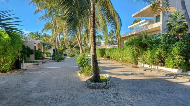 Meksika 'daki Playa del Carmen' in Playacar bölgesindeki boş caddenin manzarası.